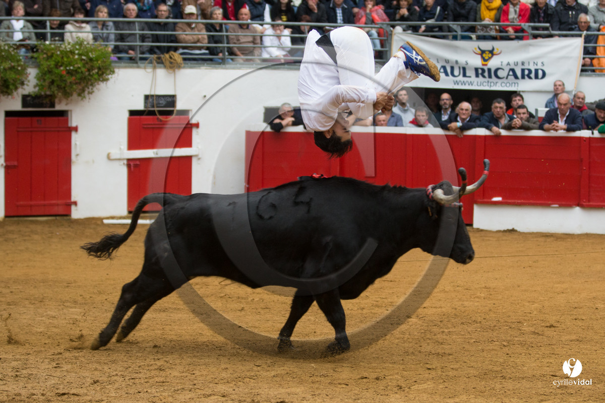 Nogaro Championnatde France de Course Landaise 2017