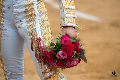 Mont-de-Marsan corrida de Garcigrande pour El Juli et Juan Bautista
