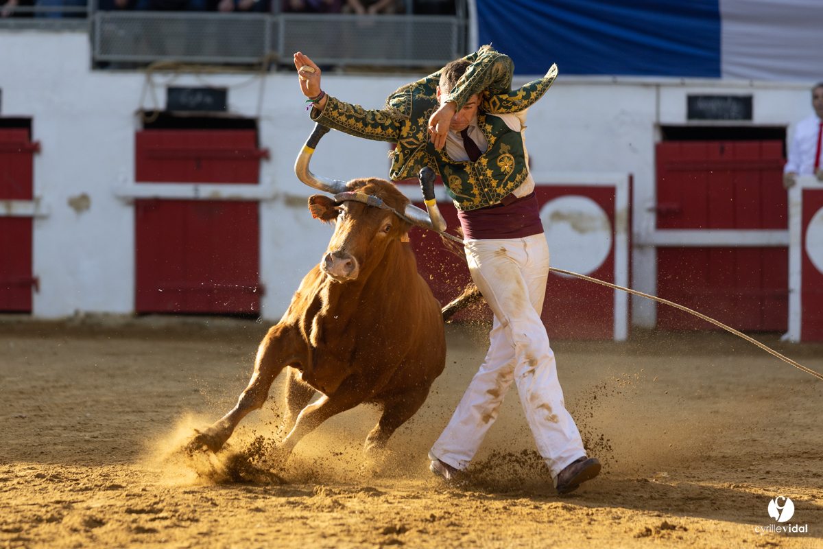 Nogaro Championnat de France de course landaise 2022