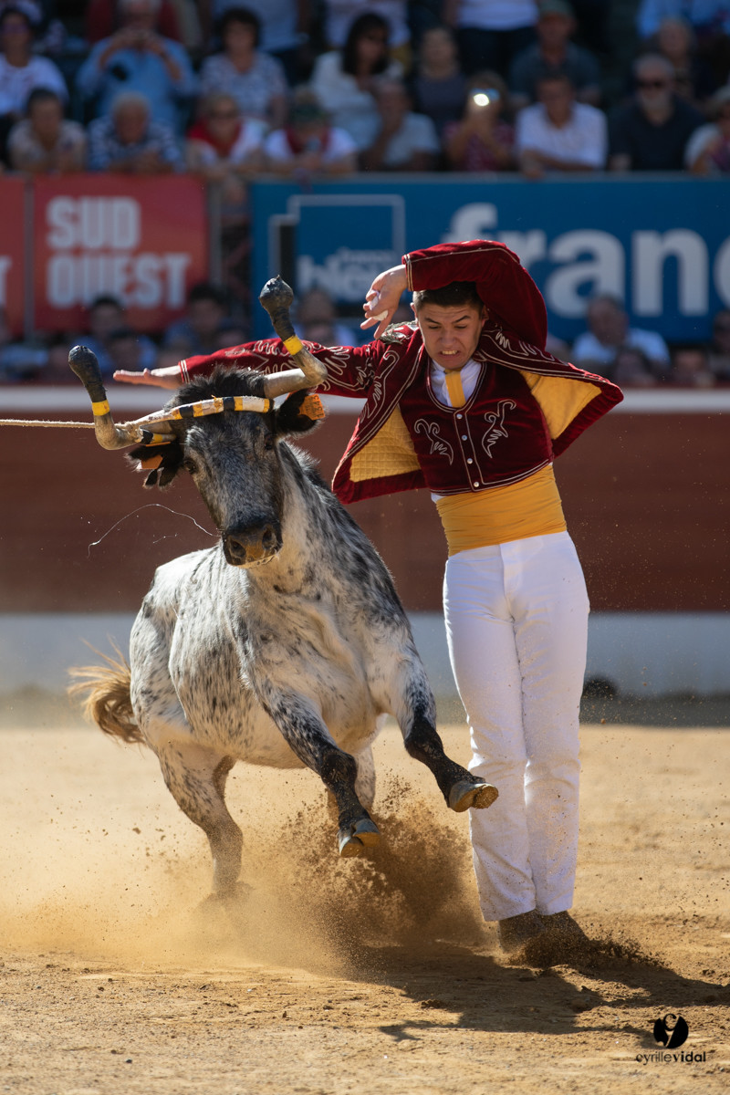 Mont-de-Marsan championnat de France de course landaise 2019