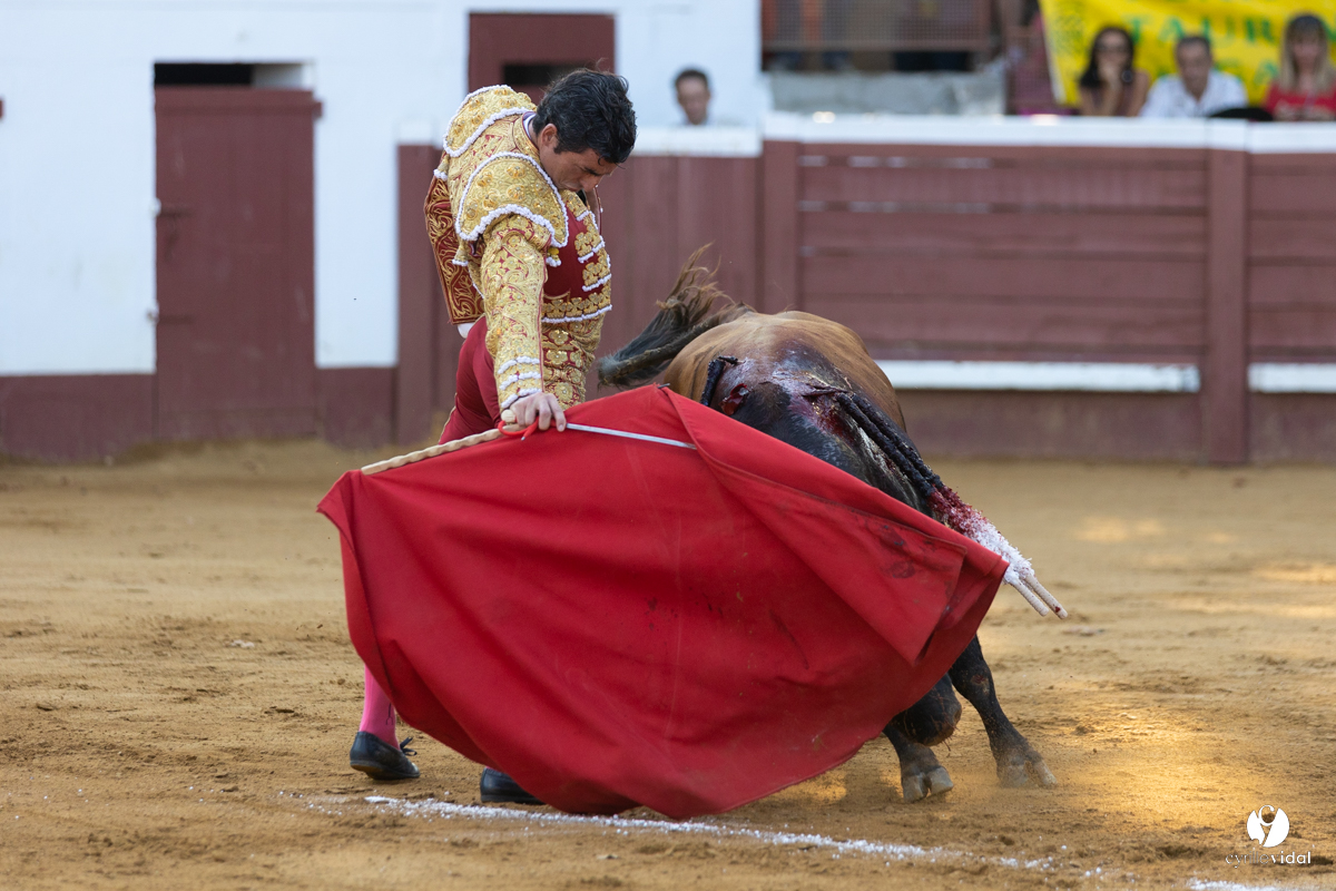 Corrida de Villeneuve-de-Marsan