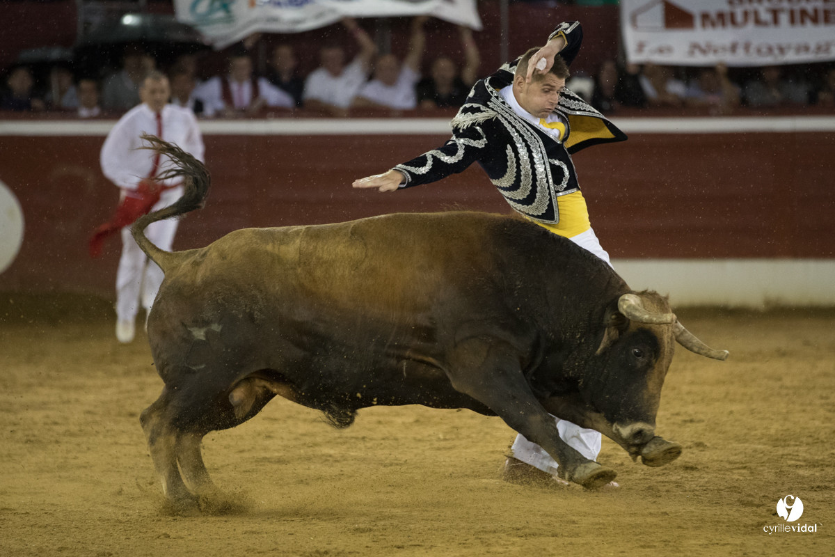 Mont-de-Marsan festival Art et Courage