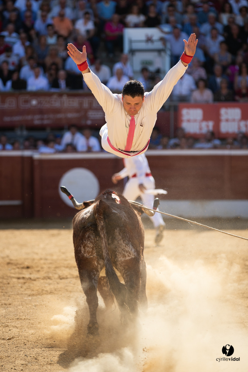Mont-de-Marsan championnat de France de course landaise 2019