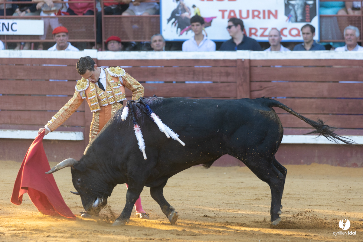 Corrida de Villeneuve-de-Marsan
