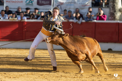 Nogaro Championnat de France de course landaise 2022