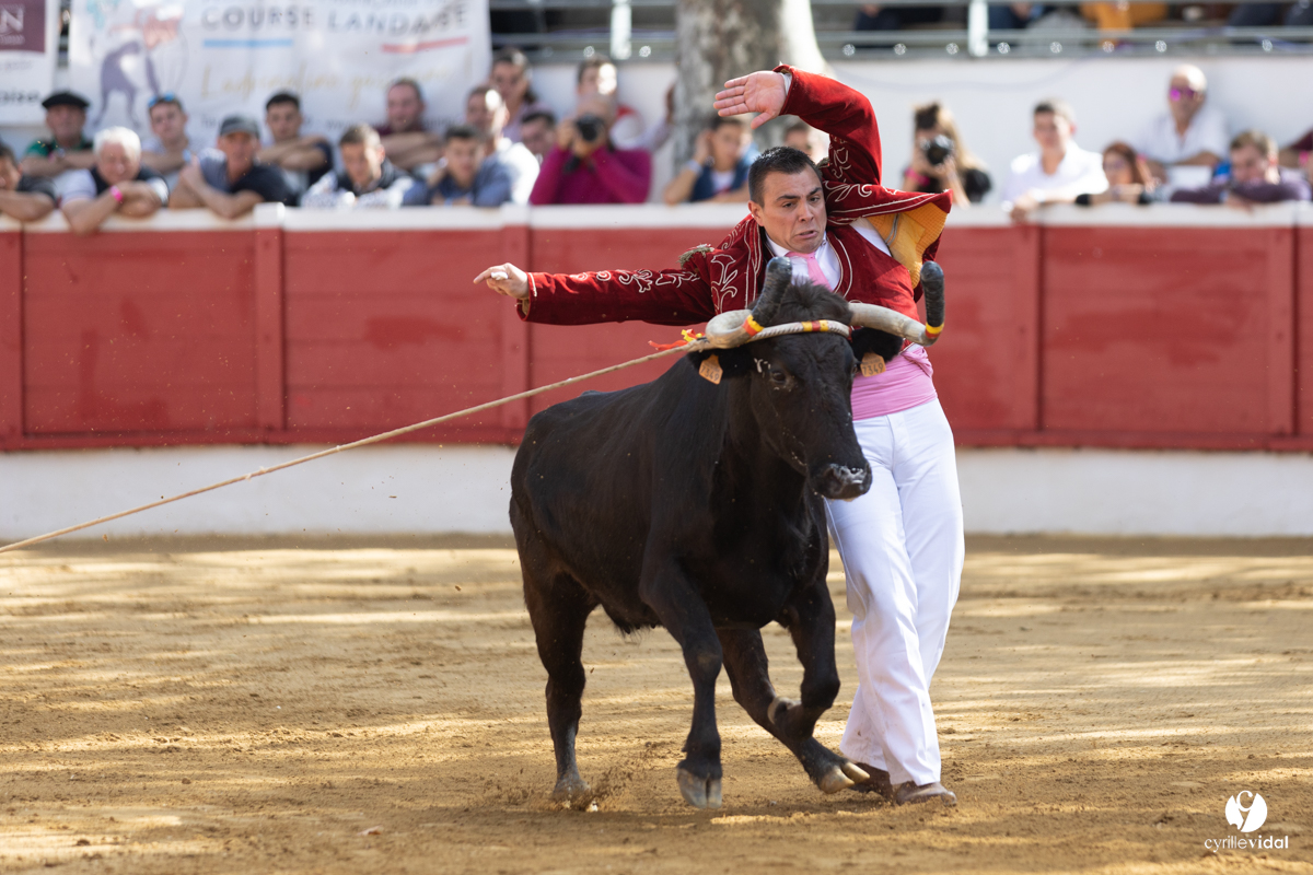Nogaro Championnat de France de course landaise 2022