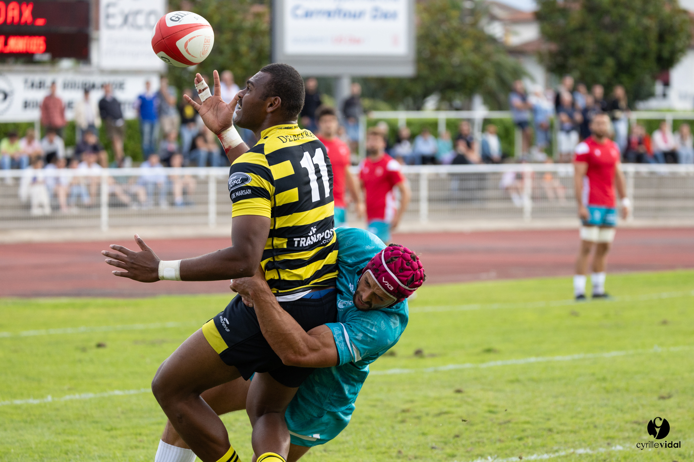 Dax - Stade Montois Rugby