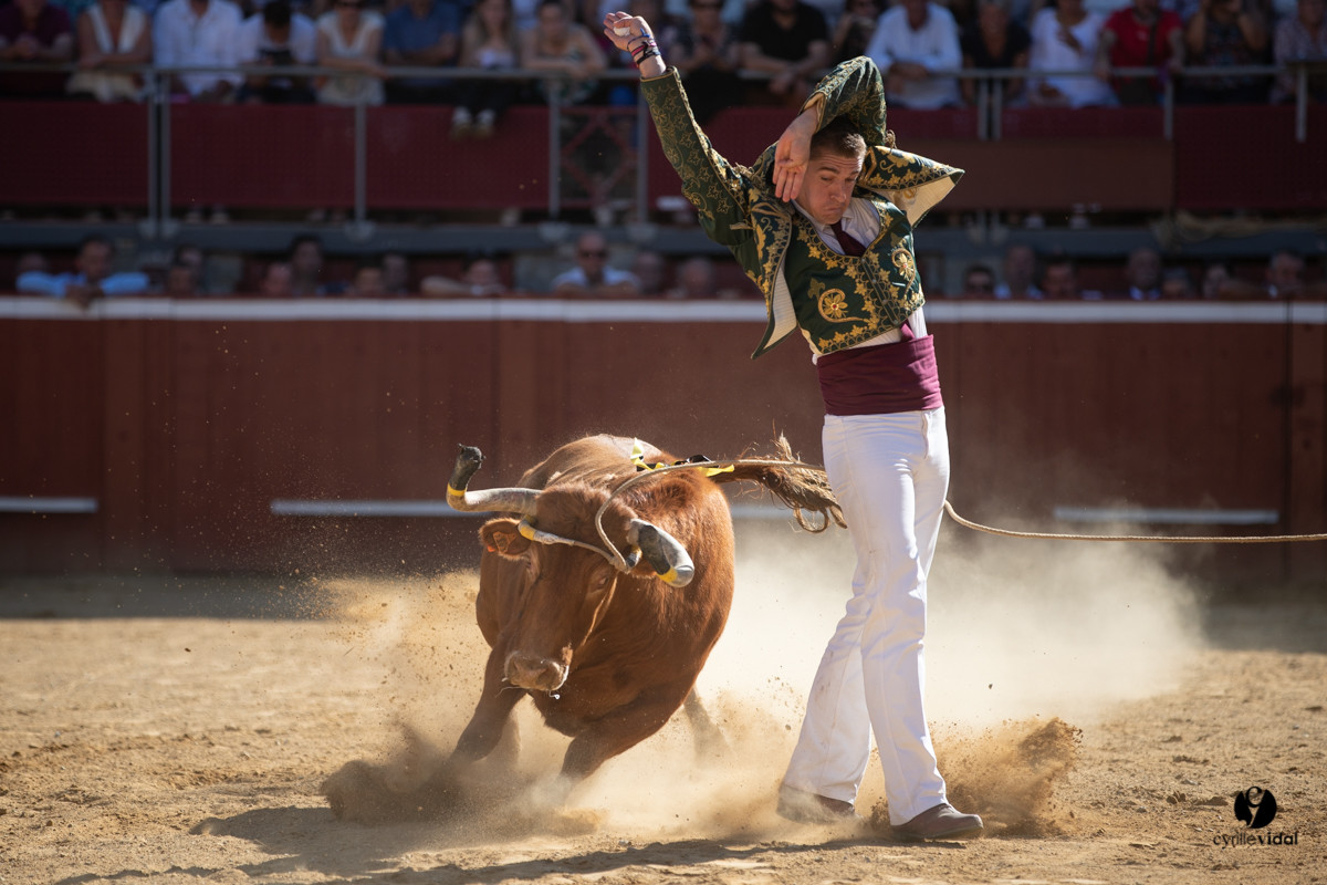Mont-de-Marsan championnat de France de course landaise 2019