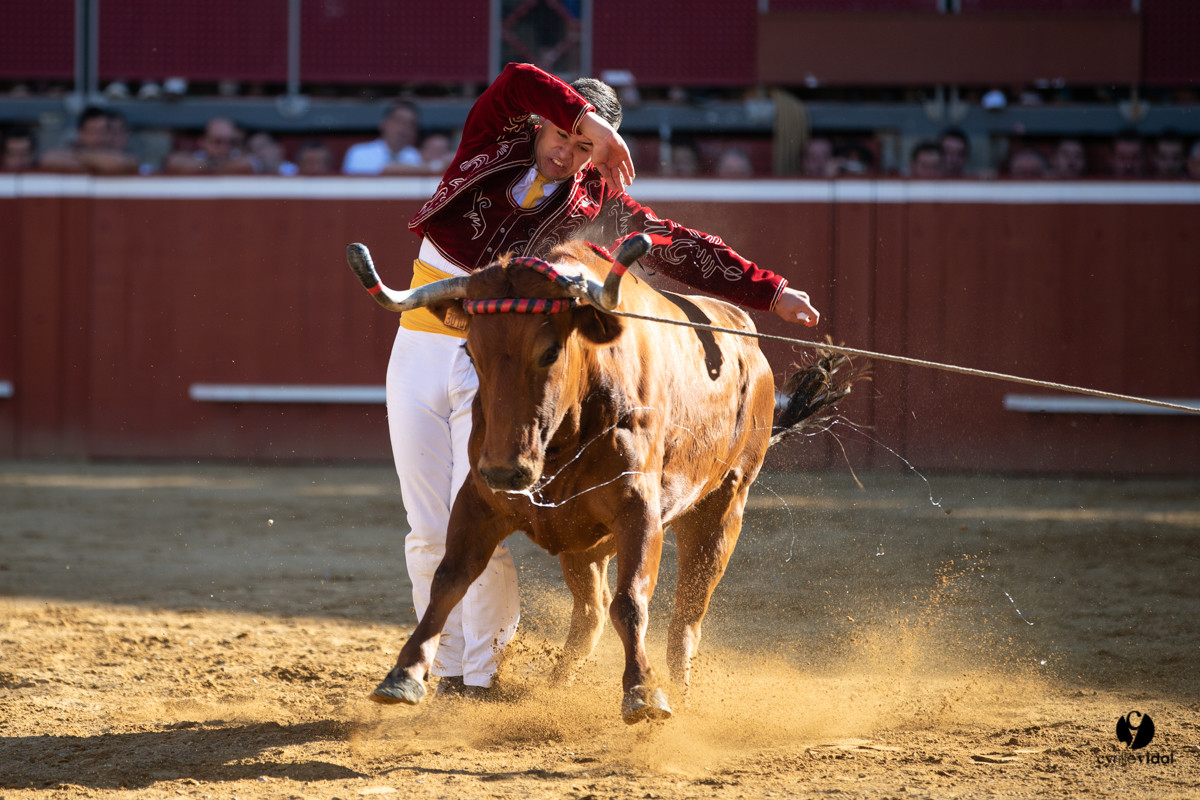 Mont-de-Marsan championnat de France de course landaise 2019