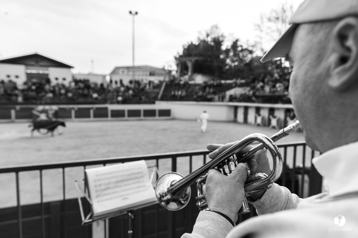 Course landaise Le Houga Ganadéria Dussau Cuadrilla Alexandre Brethes