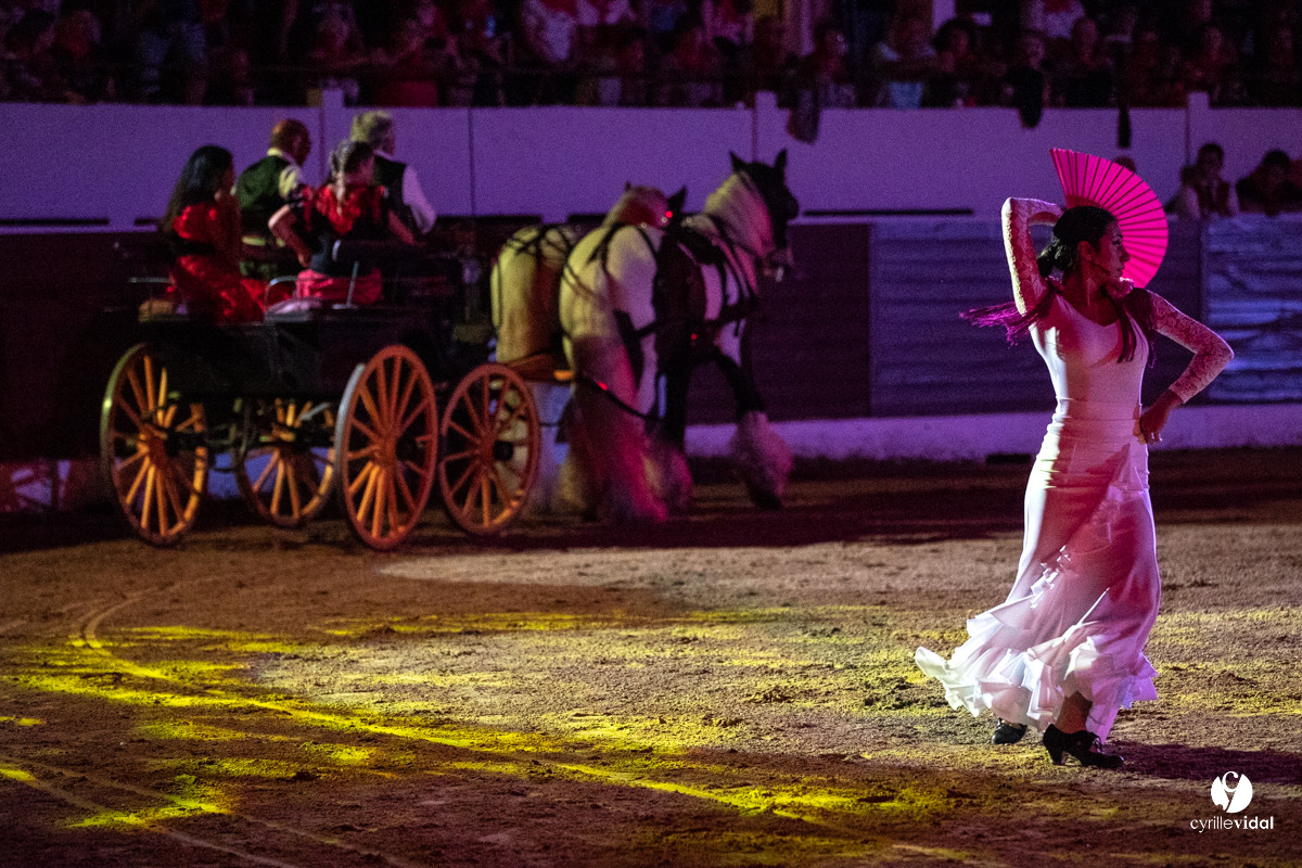 Landes émotions à Aire-sur-l'Adour