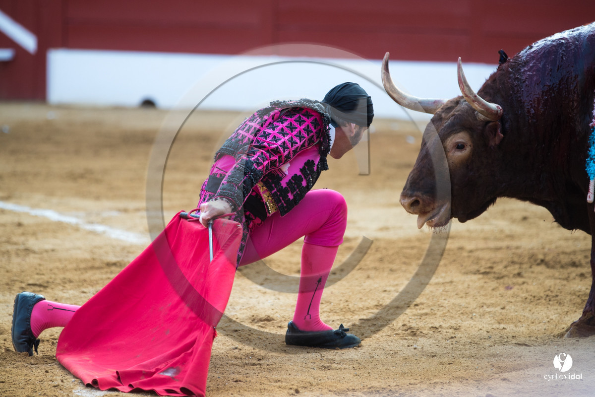 Mont-de-Marsan corrida de Jandilla pour Padilla - Talavante - Roca Rey