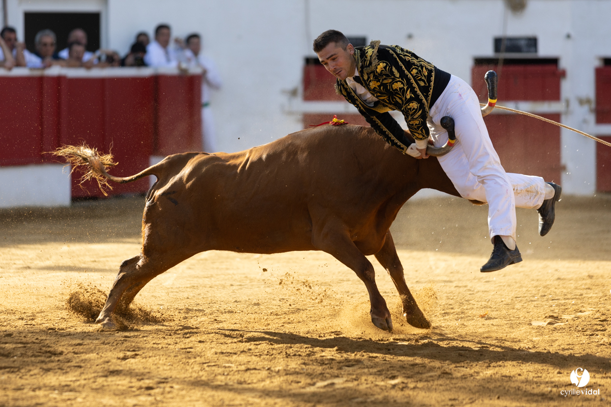 Nogaro Championnat de France de course landaise 2022