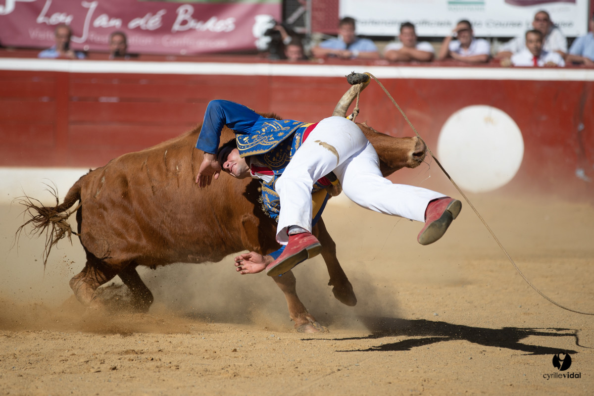 Mont-de-Marsan championnat de France de course landaise 2019