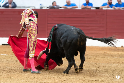 Corrida d'Aire sur l'Adour