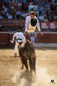 Mont-de-Marsan championnat de France de course landaise 2019