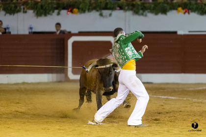 Aire sur l'Adour course landaise génération Aturine