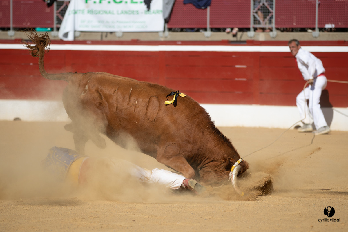 Mont-de-Marsan championnat de France de course landaise 2019