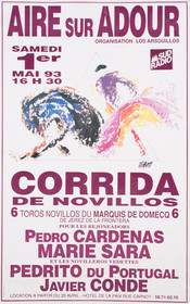 Affiches taurines Aire sur l'Adour
