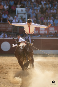 Mont-de-Marsan championnat de France de course landaise 2019