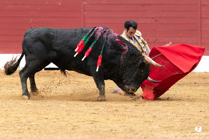 Corrida d'Aire sur l'Adour
