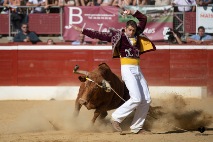 Mont-de-Marsan championnat de France de course landaise 2019