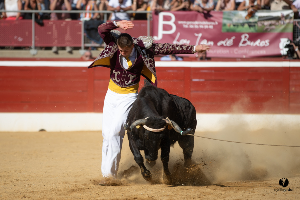 Mont-de-Marsan championnat de France de course landaise 2019