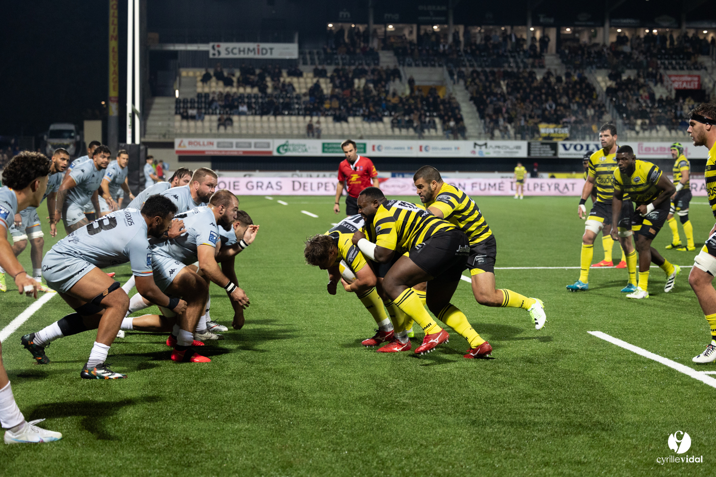 Stade Montois Rugby - Provence