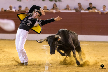 Aire sur l'Adour course landaise génération Aturine