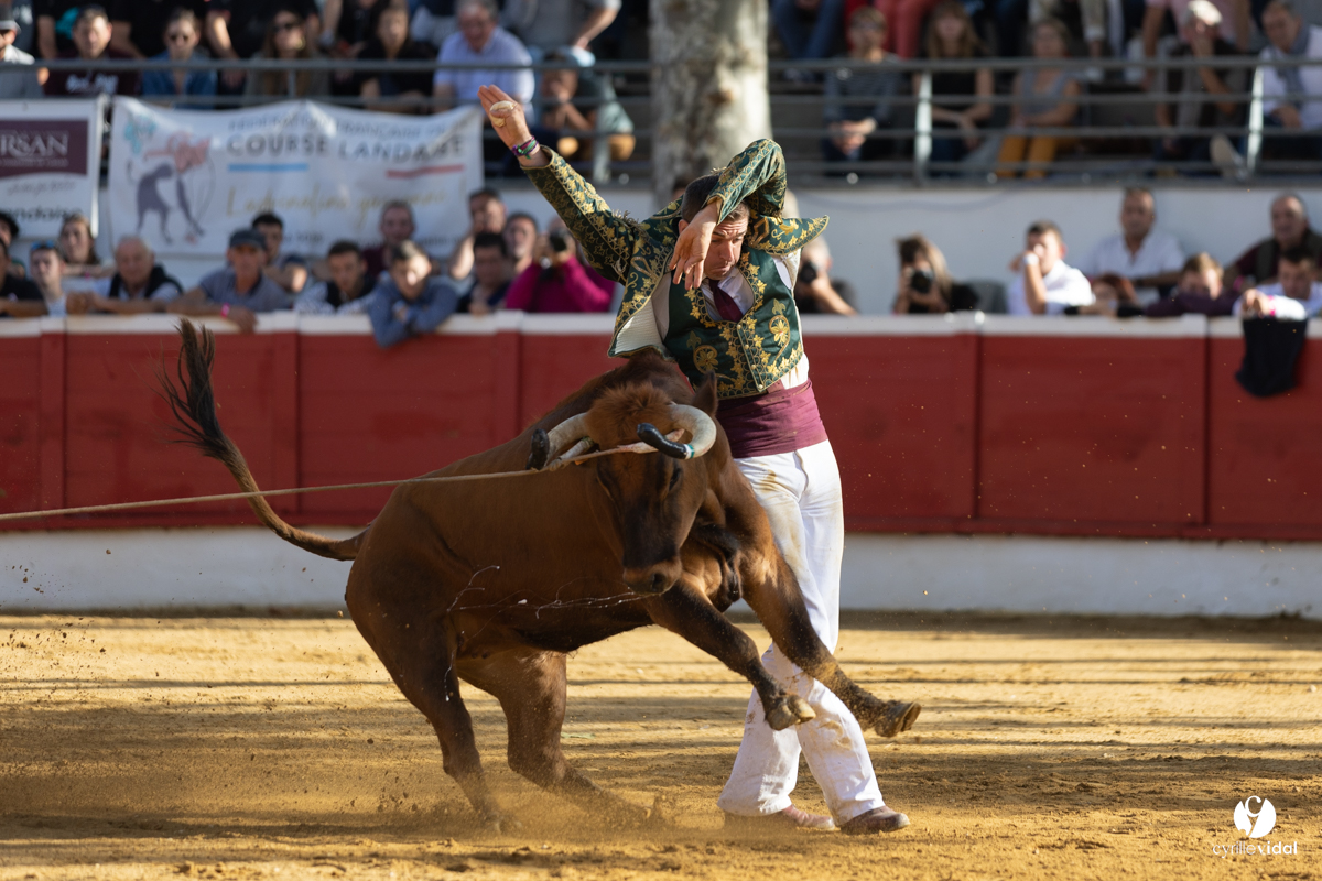 Nogaro Championnat de France de course landaise 2022