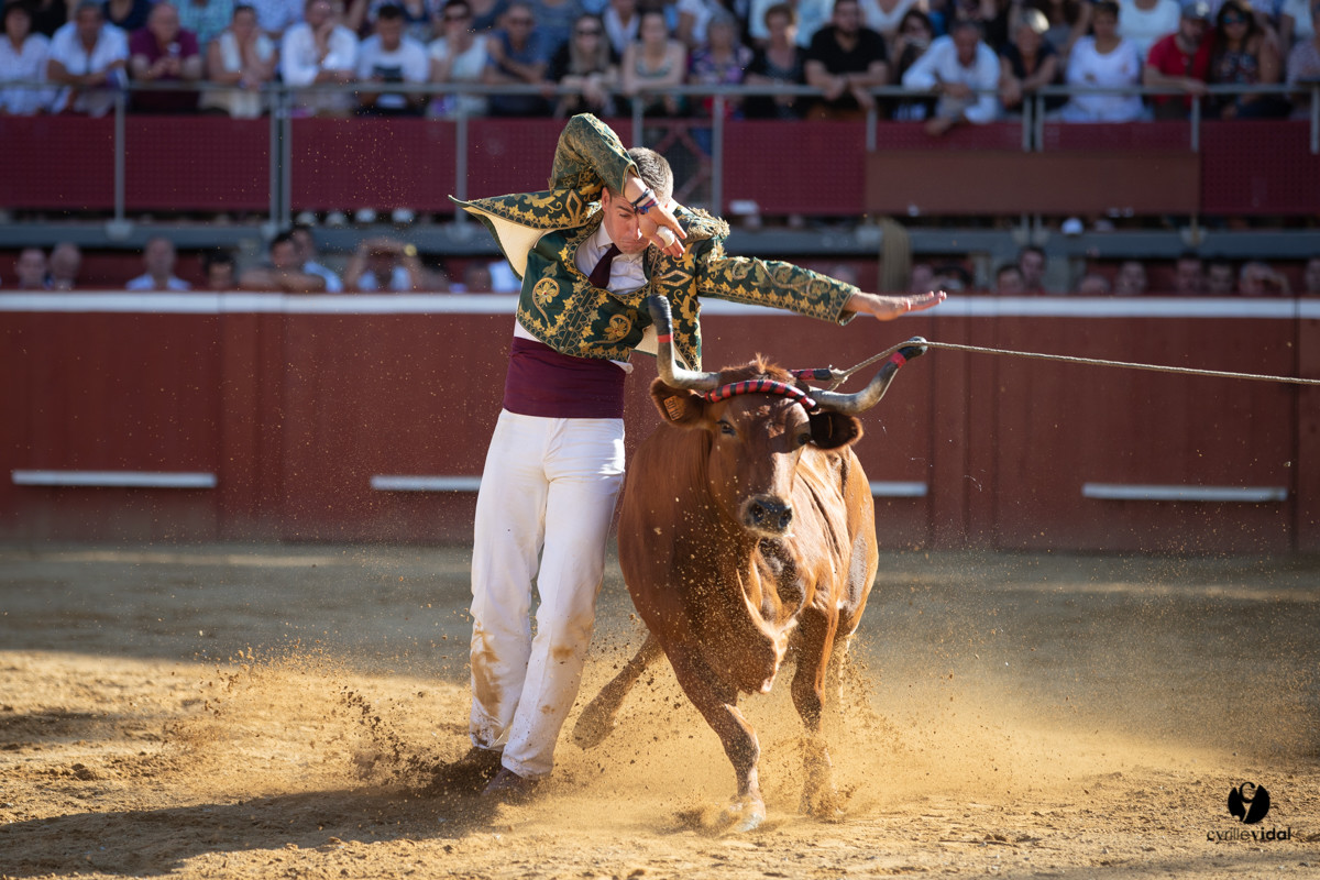Mont-de-Marsan championnat de France de course landaise 2019