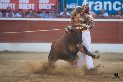Mont-de-Marsan championnat de France de course landaise 2019