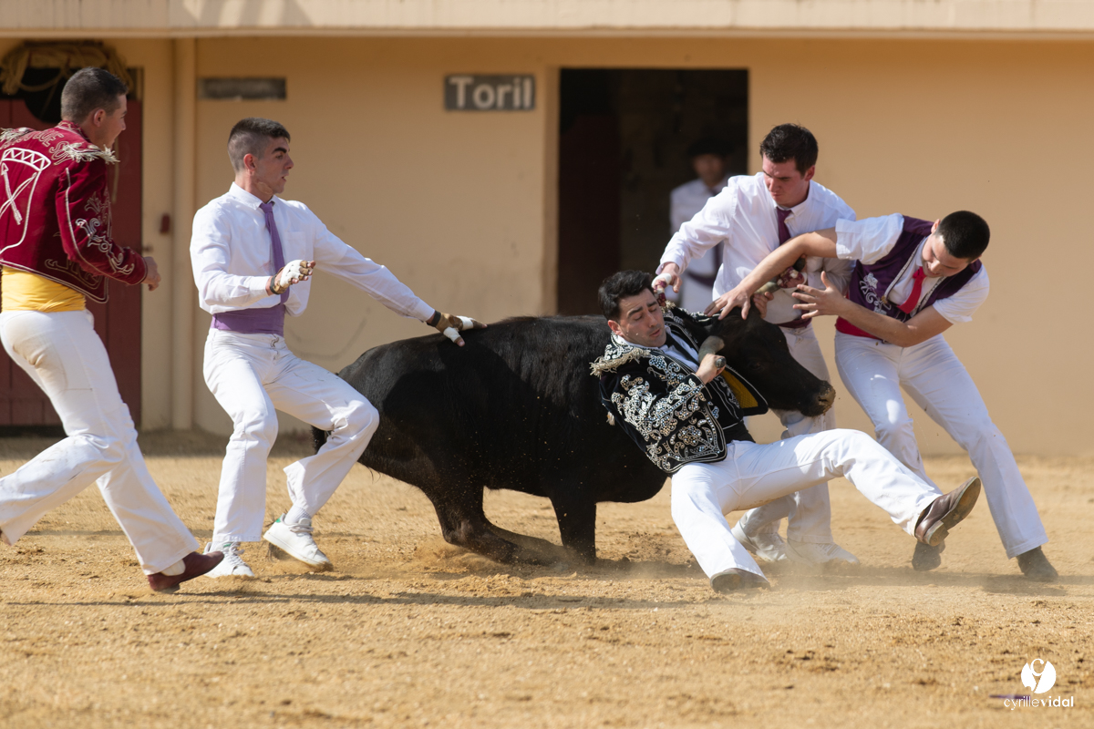 Course landaise Le Houga Ganadéria Dussau Cuadrilla Alexandre Brethes