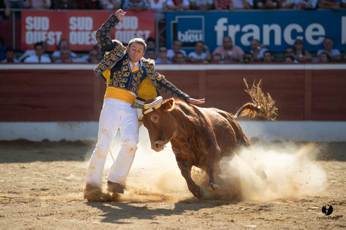 Mont-de-Marsan championnat de France de course landaise 2019