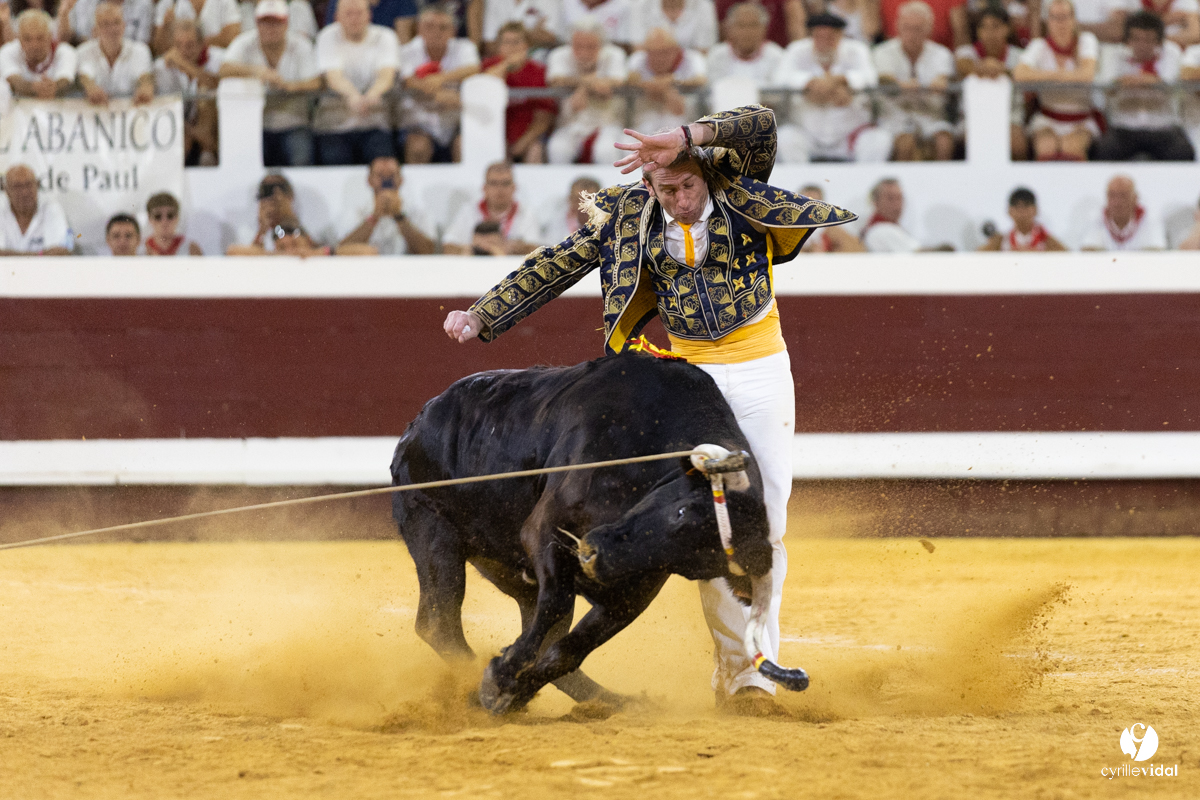 Dax concours landais 2022