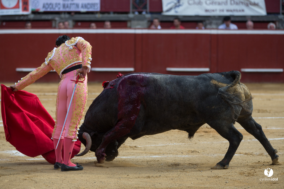 Mont-de-Marsan corrida d'Adolfo Martin