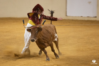 Horsarrieu course landaise du boléro d'Argent