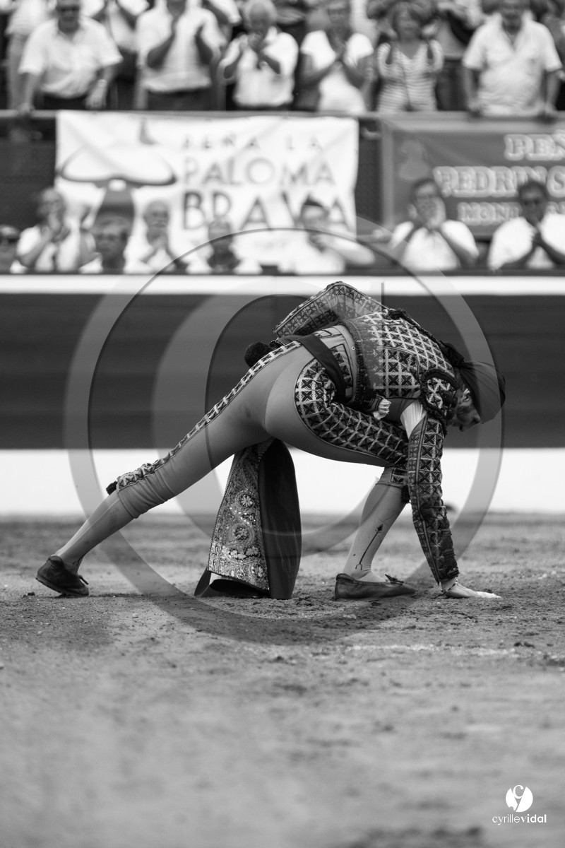 Mont-de-Marsan corrida de Jandilla pour Padilla - Talavante - Roca Rey