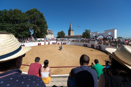 Saint-Cricq Chalosse course landaise de promotion Ganadéria Deyris Cuadrilla Jérémy Lafitte