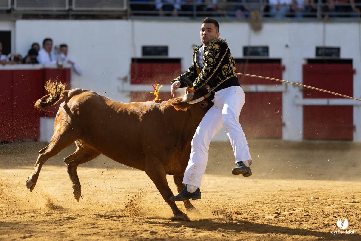 Nogaro Championnat de France de course landaise 2022