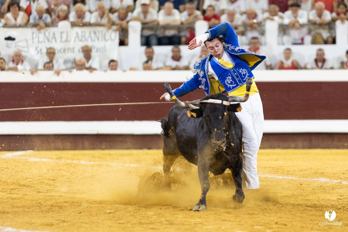 Dax concours landais 2022