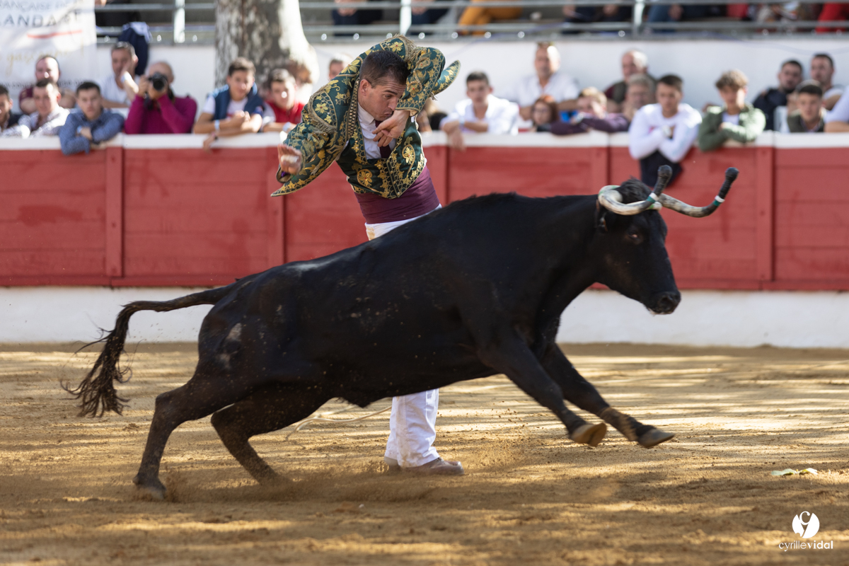 Nogaro Championnat de France de course landaise 2022