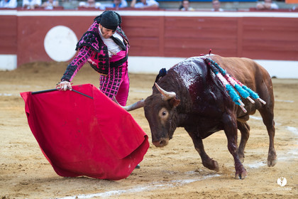 Mont-de-Marsan corrida de Jandilla pour Padilla - Talavante - Roca Rey
