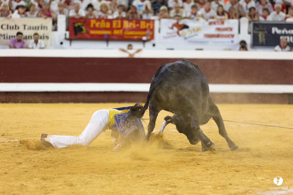 Dax concours landais 2022