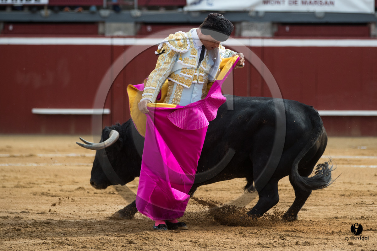 Mont-de-Marsan corrida de Garcigrande pour El Juli et Juan Bautista