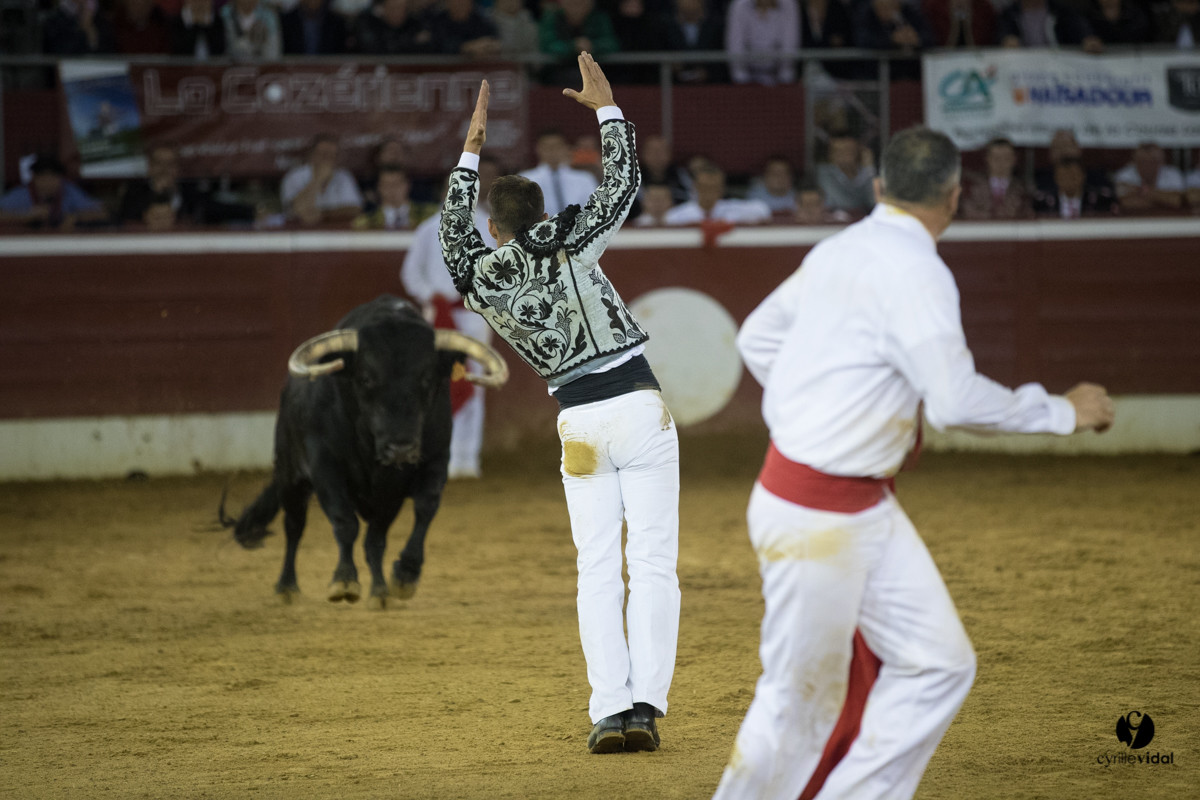 Mont-de-Marsan festival Art et Courage