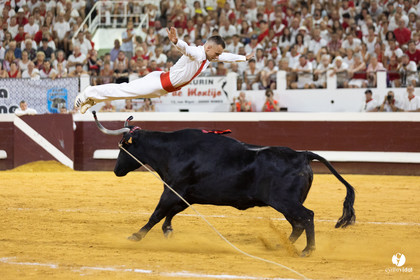Dax concours landais 2022