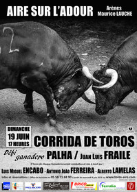 Affiches taurines Aire sur l'Adour