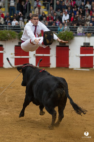 Nogaro Championnatde France de Course Landaise 2017