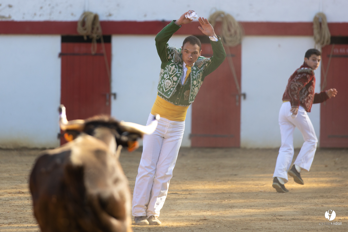 Course landaise à Panjas